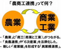 農商工連携とは何か？