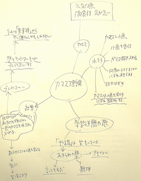 カマス理論