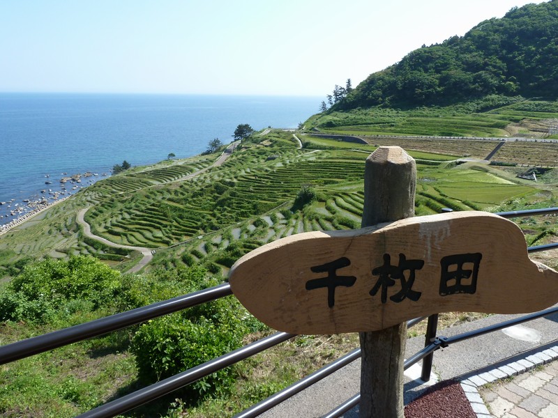 輪島の千枚田