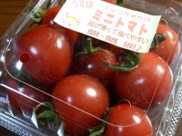 ミニトマトのニッコちゃん