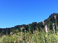 Sawayakaakizora