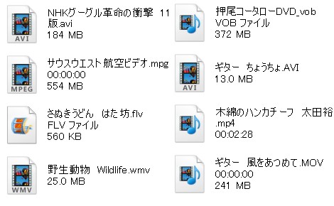 再生できる動画ファイルの一覧