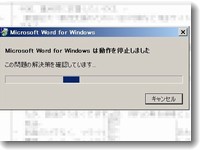 Word2003_teisi