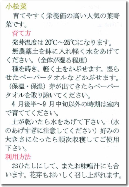 Komatsuna_sodatekata Komatsuna_sodatekata