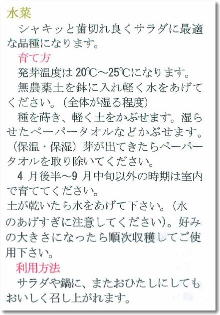 Sodatekata_mizuna Sodatekata_mizuna