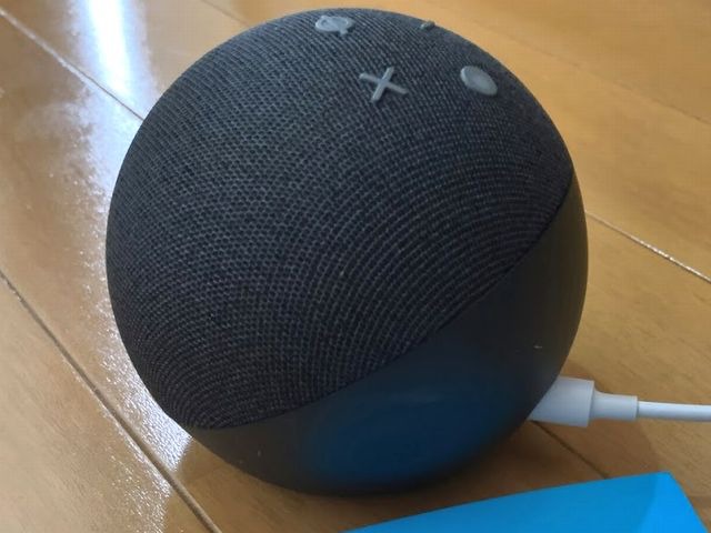 amazonecho2daime640.jpg