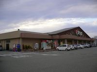 Asktogi