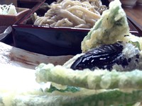 野菜天ぷらと蕎麦