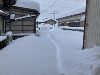 大雪