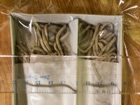 同じ麺体でも茹で時間で食感がぜんぜん違うことを体験しました、カガセイフンさんの生麺の蕎麦