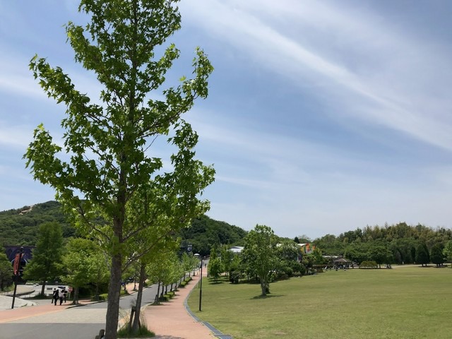 dqawaji011.jpg