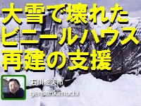 大雪で壊れたビニールハウス再建の支援