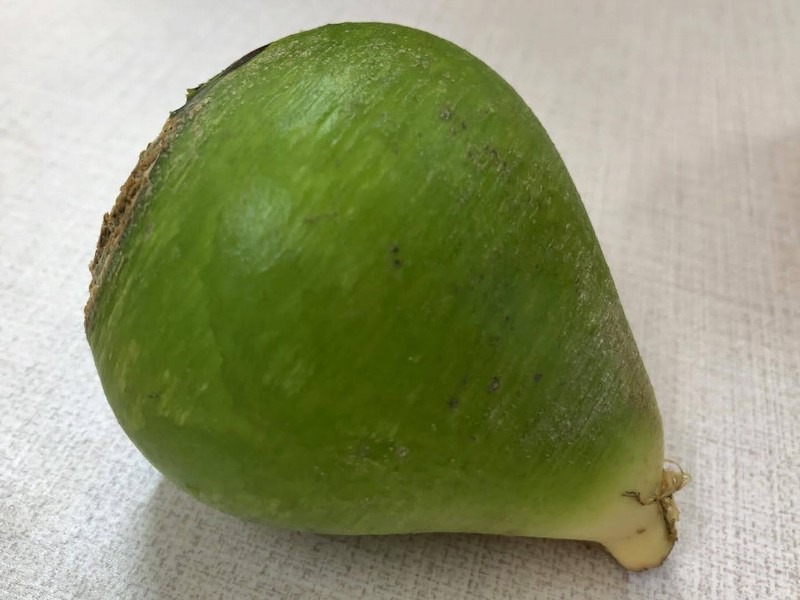 fukuikaramidaikon.jpg