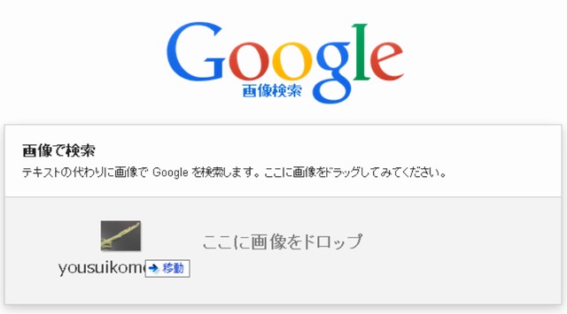 google画像検索を実施