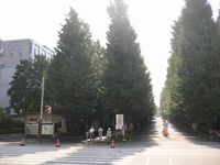 Hiyosi