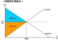 関税の効果