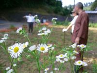 mamejin20050625_8