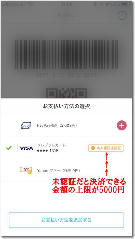 paypayvisamininsyo.jpg