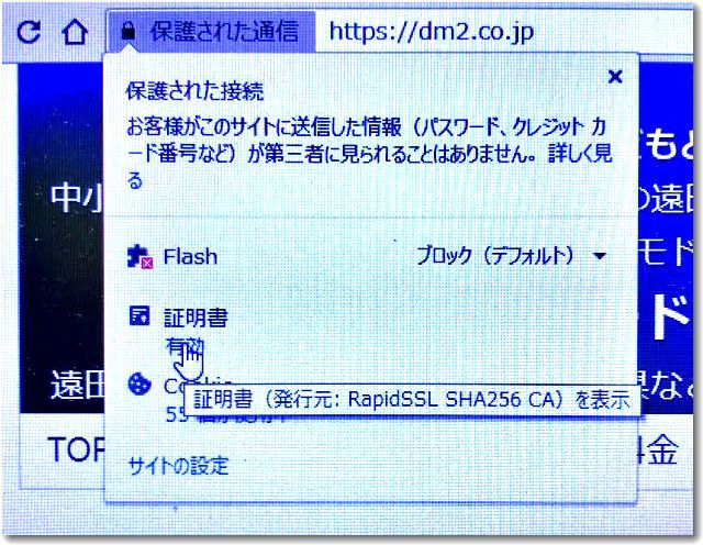 rapidssl2020sakura02.jpg