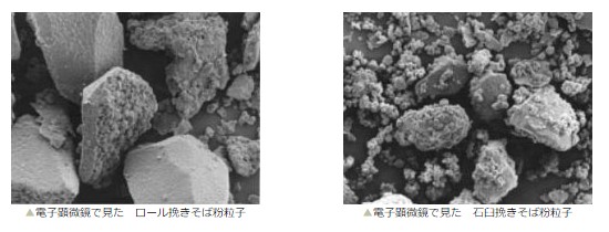 石臼挽きとロール製粉のそば粉の粒子の違い