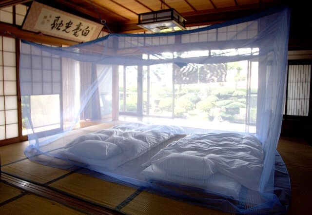 大きな蚊帳