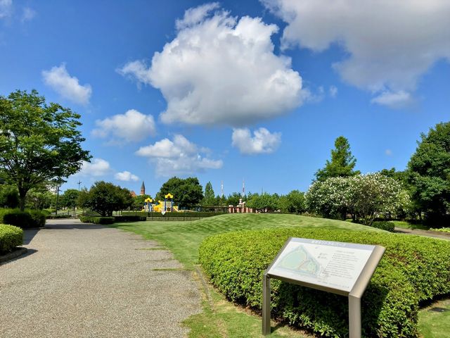 県庁近くに出没