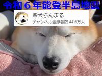 「柴犬らんまる」は能登半島地震