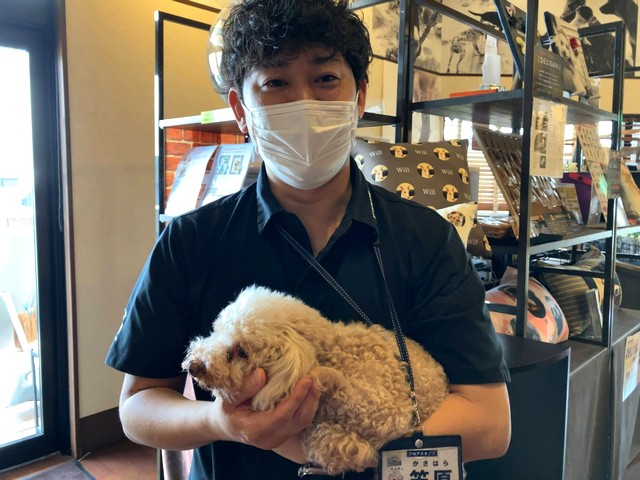 福井市運動公園近くにあるBOWWOW（バウワウ）