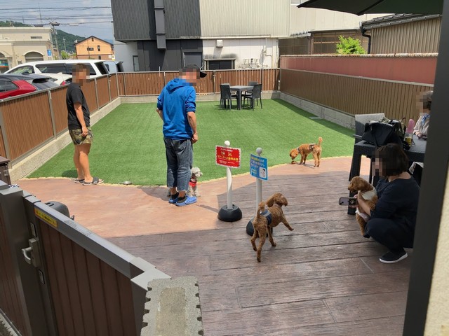 福井市運動公園近くにあるBOWWOW（バウワウ）