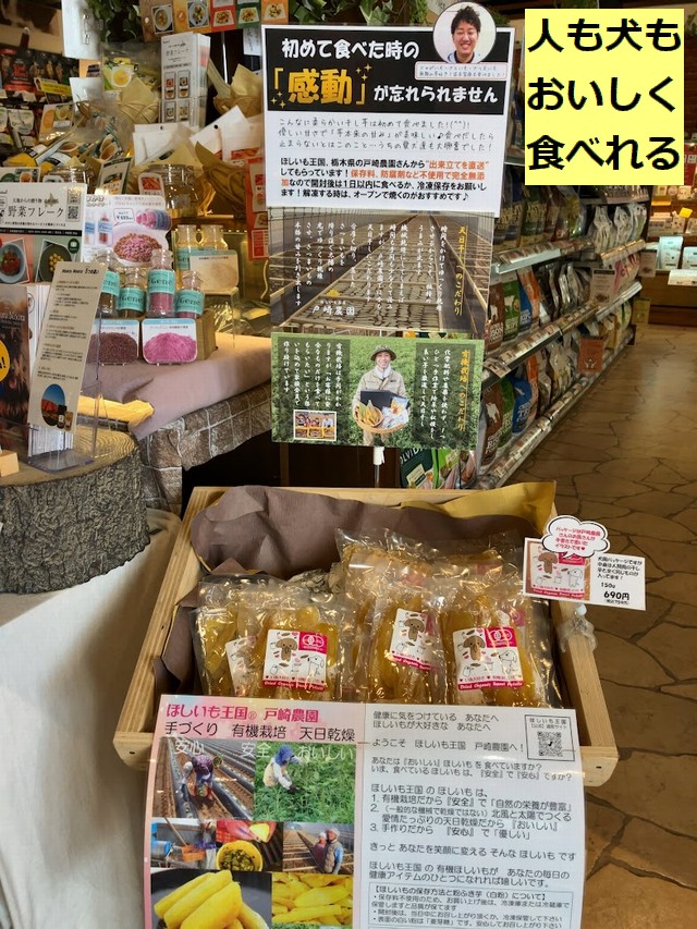 福井市運動公園近くにあるBOWWOW（バウワウ）