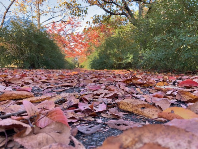 西田幾多郎記念哲学館20251115