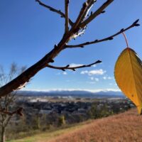 西田幾多郎記念哲学館