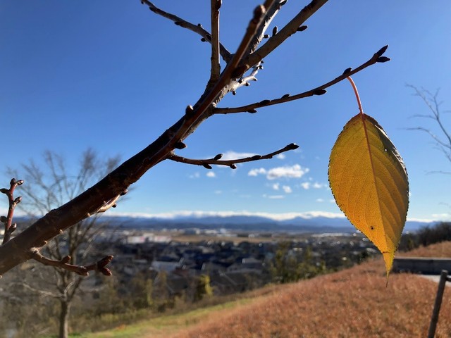 西田幾多郎記念哲学館