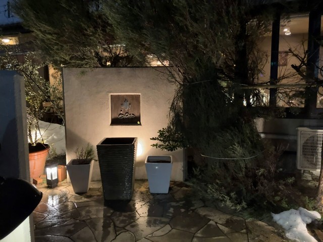 白山市のオルソ