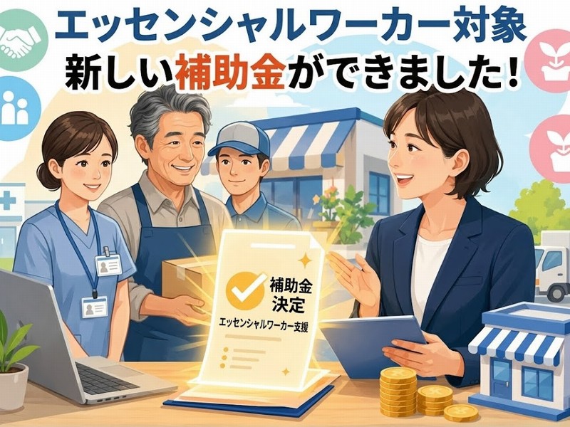 令和8年度生活維持役務等効率化促進事業費補助金とは