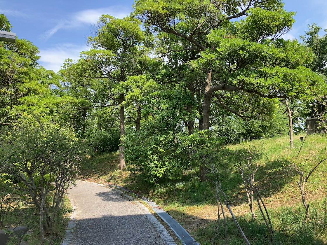 西田幾多郎記念哲学館の道